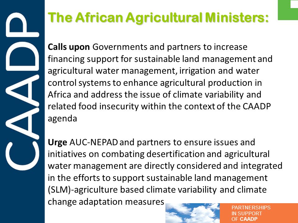 The African Agricultural Ministers: