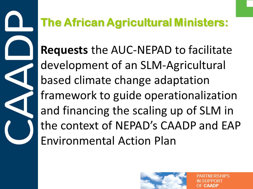The African Agricultural Ministers: