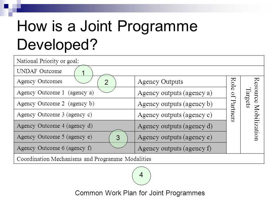 How is a Joint Programme Developed
