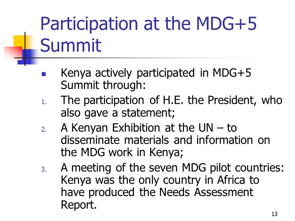 Participation at the MDG+5 Summit