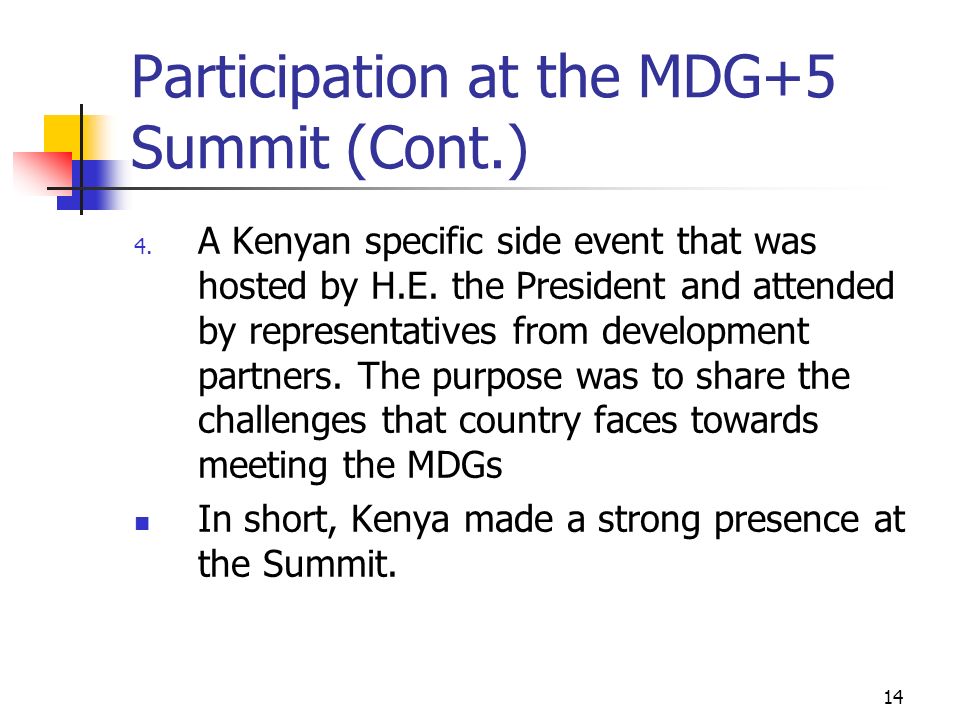 Participation at the MDG+5 Summit (Cont.)