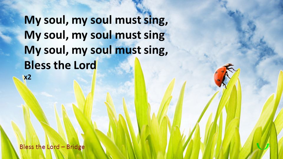 My soul, my soul must sing, My soul, my soul must sing Bless the Lord