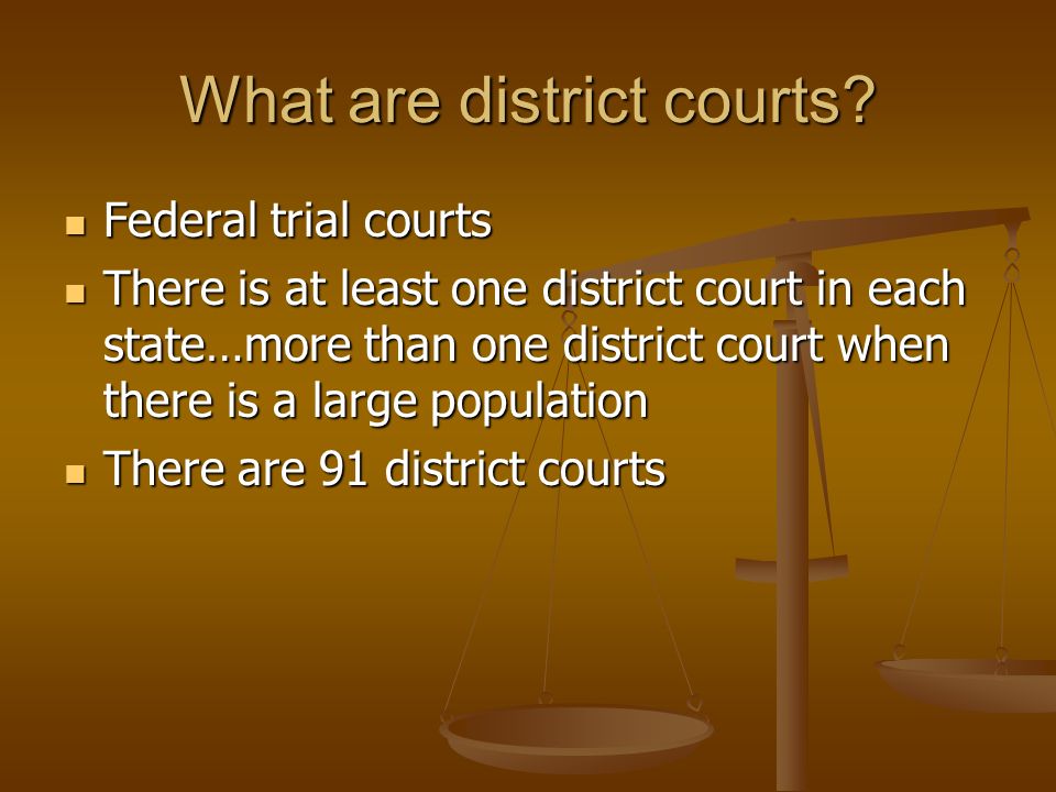 What are district courts