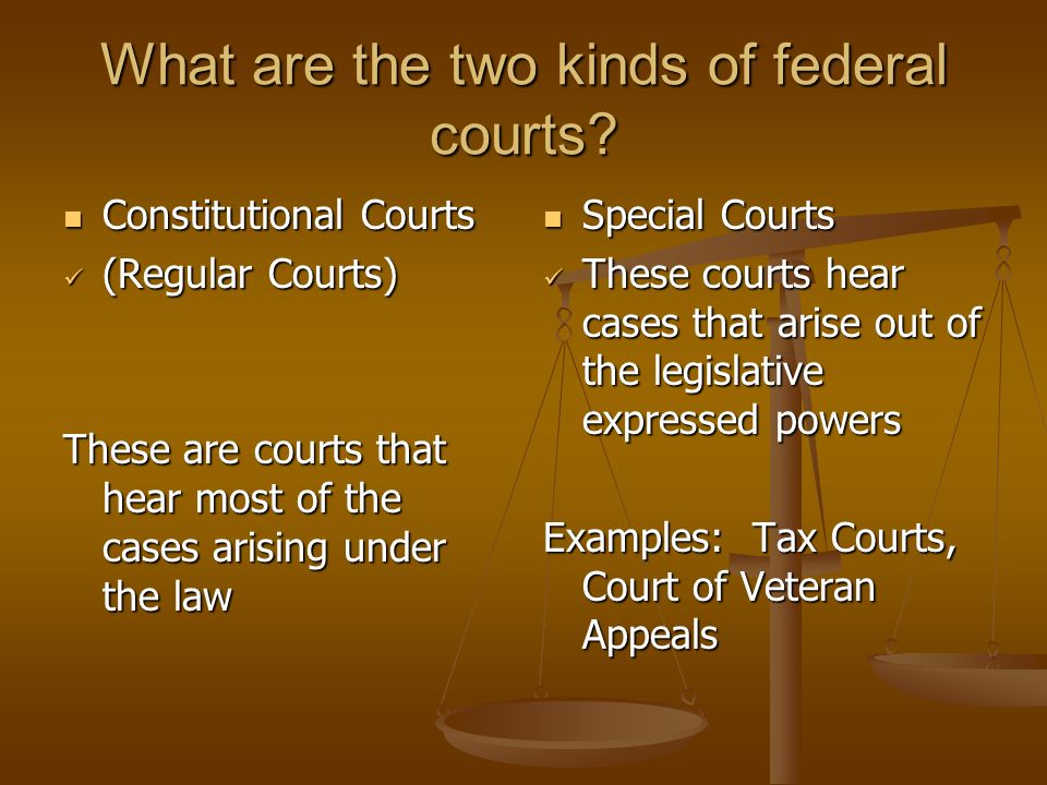 What are the two kinds of federal courts