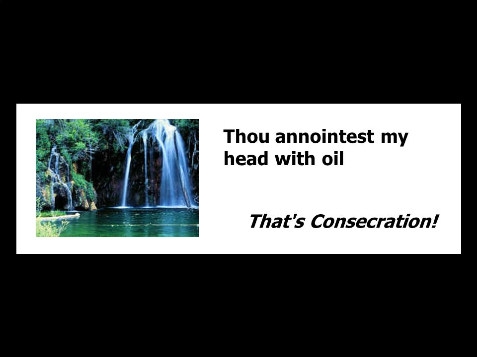 Thou annointest my head with oil
