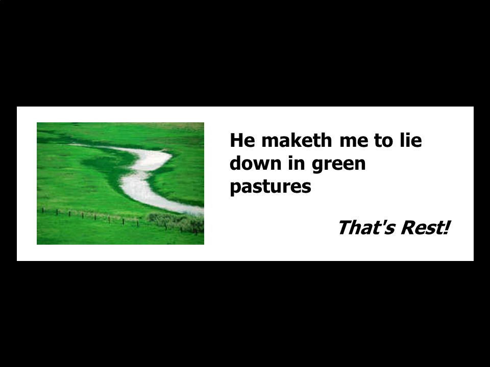 He maketh me to lie down in green pastures