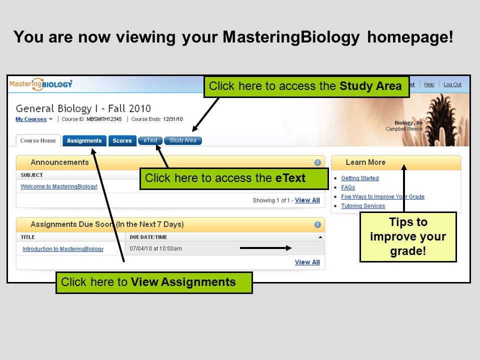 You are now viewing your MasteringBiology homepage!