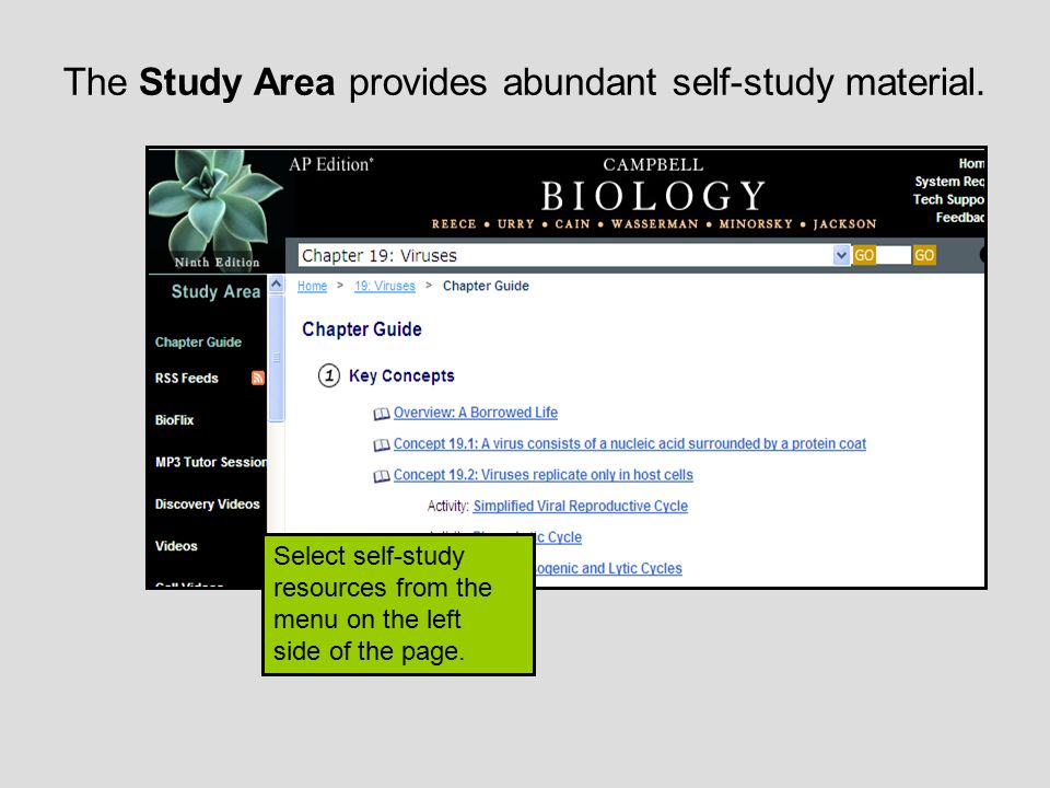 The Study Area provides abundant self-study material.