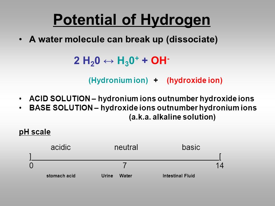 Potential of Hydrogen A water molecule can break up (dissociate)
