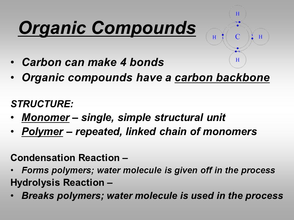 Organic Compounds Carbon can make 4 bonds
