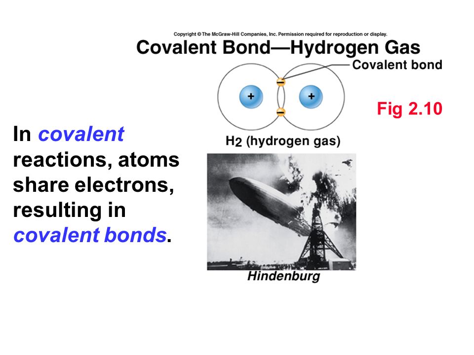 Fig 2.10 In covalent reactions, atoms share electrons, resulting in covalent bonds.