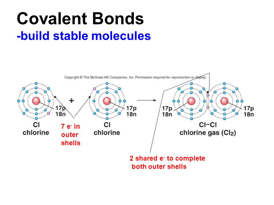 Covalent Bonds -build stable molecules 7 e- in outer shells