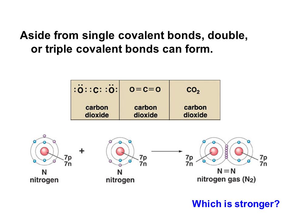 Aside from single covalent bonds, double, or triple covalent bonds can form.