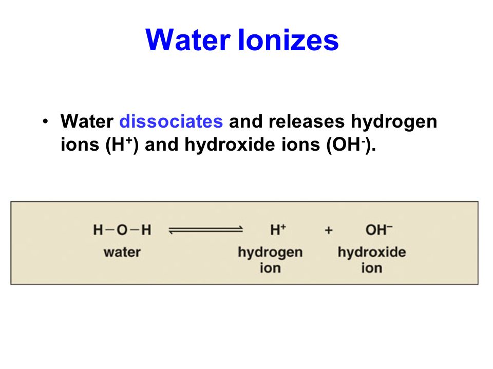 Water Ionizes Water dissociates and releases hydrogen ions (H+) and hydroxide ions (OH-).
