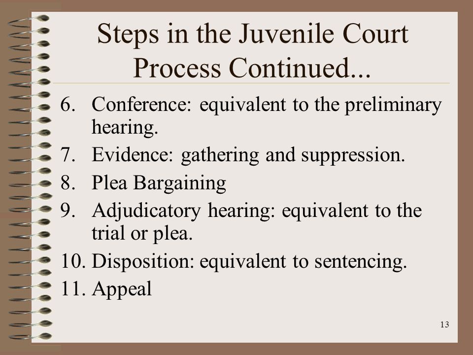 Steps in the Juvenile Court Process Continued...