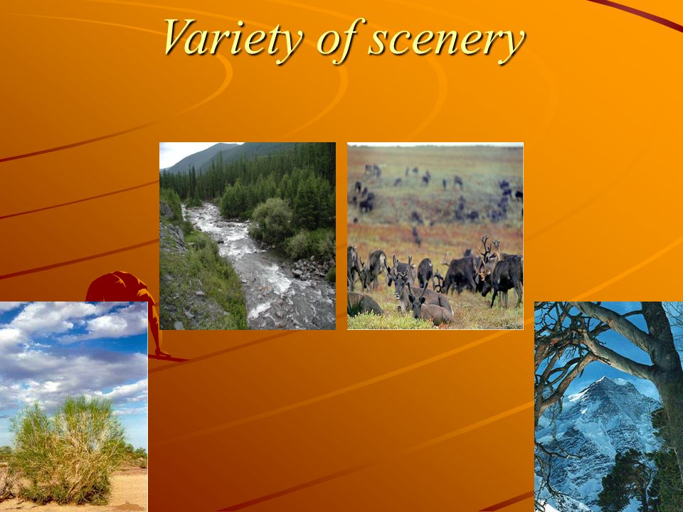 Variety of scenery