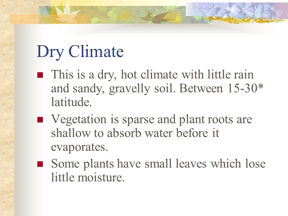 Dry Climate This is a dry, hot climate with little rain and sandy, gravelly soil. Between 15-30* latitude.