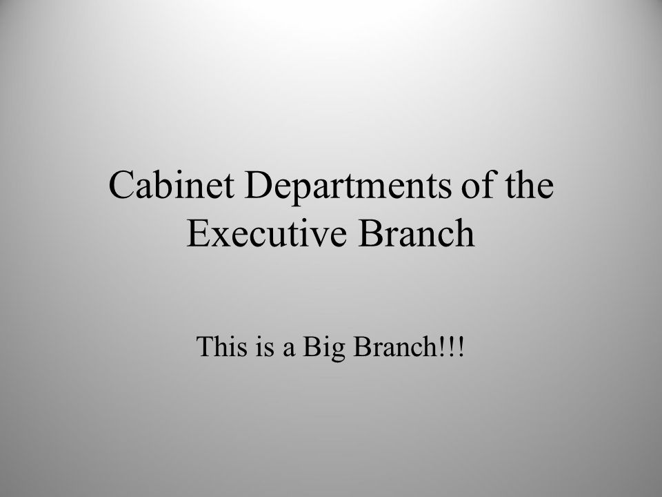Cabinet Departments Of The Executive Branch Ppt Video Online