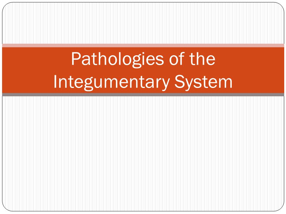 Pathologies of the Integumentary System