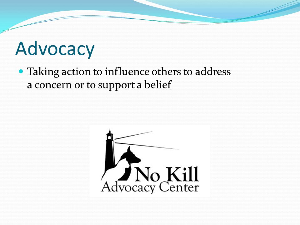 Advocacy Taking action to influence others to address a concern or to support a belief