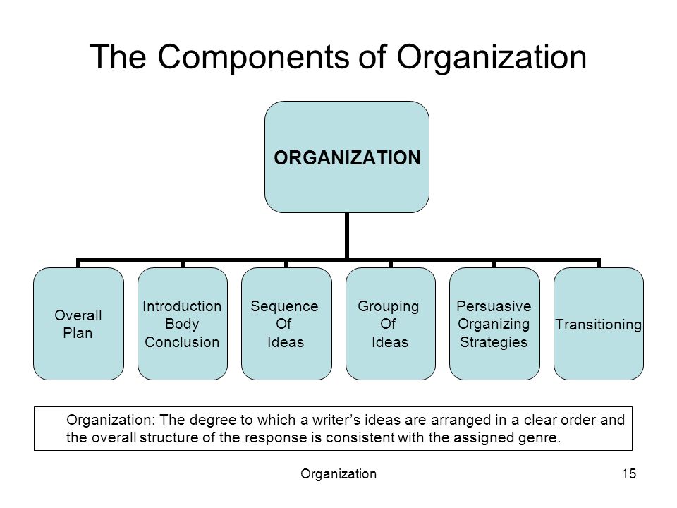 The Components of Organization