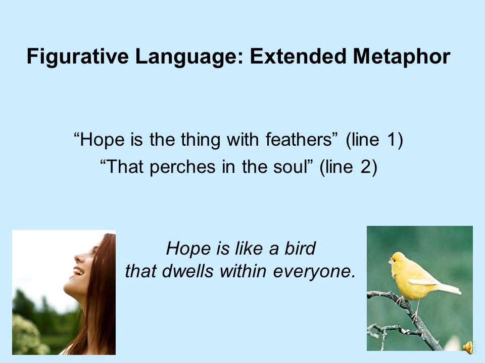 Figurative Language: Extended Metaphor