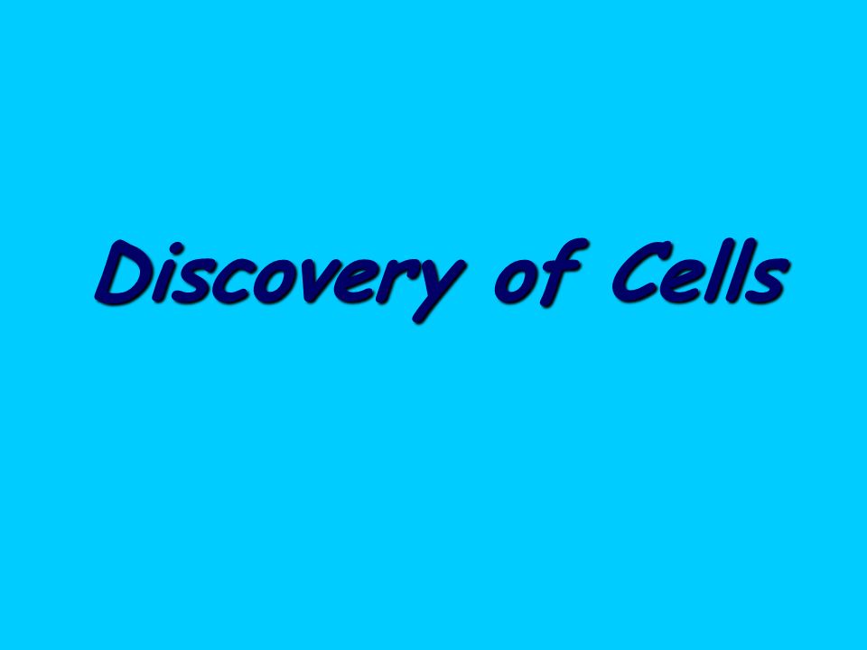 Discovery of Cells