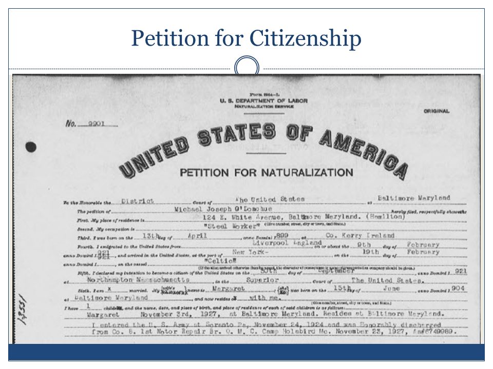 Petition for Citizenship