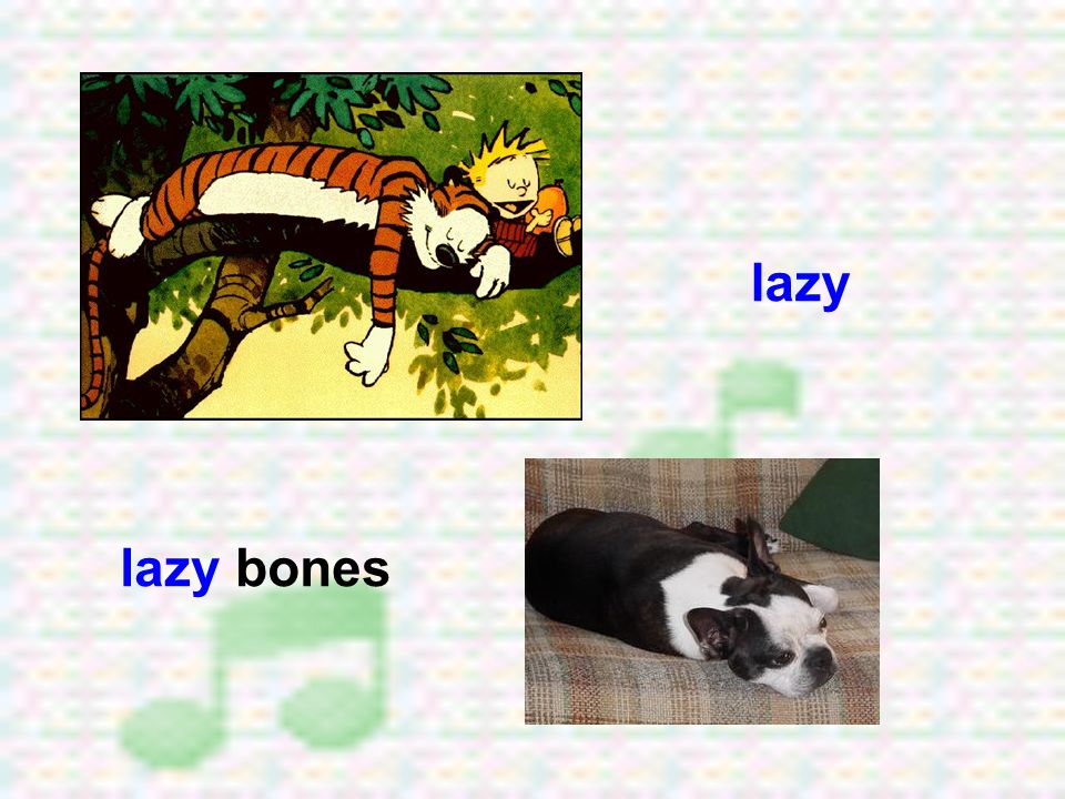 lazy lazy bones