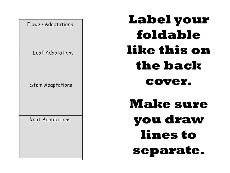 Label your foldable like this on the back cover.