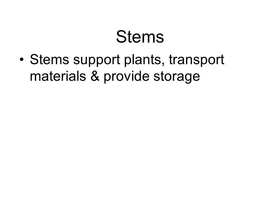 Stems Stems support plants, transport materials & provide storage