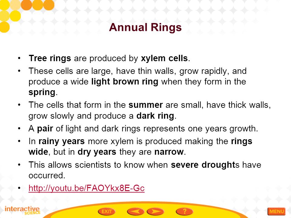 Annual Rings Tree rings are produced by xylem cells.