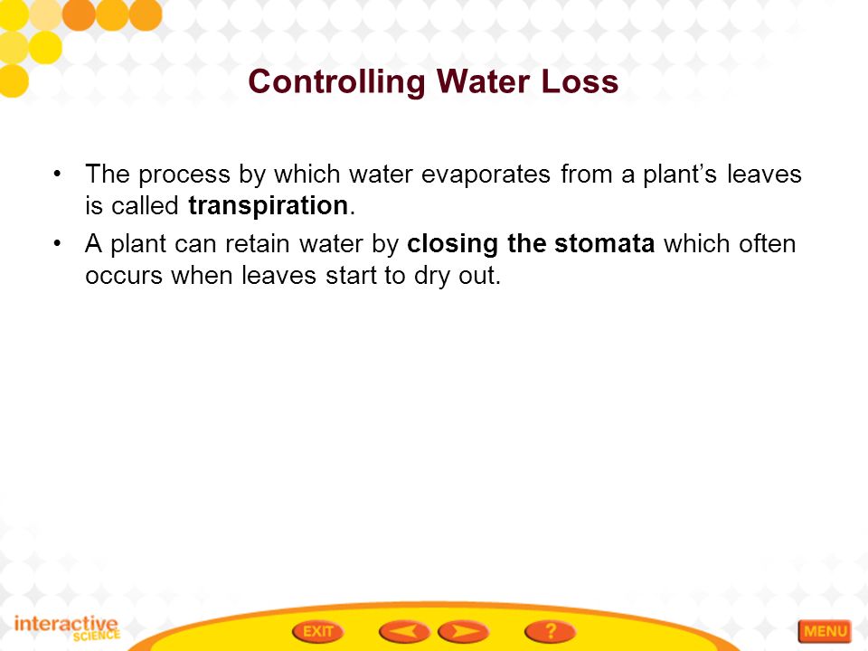Controlling Water Loss