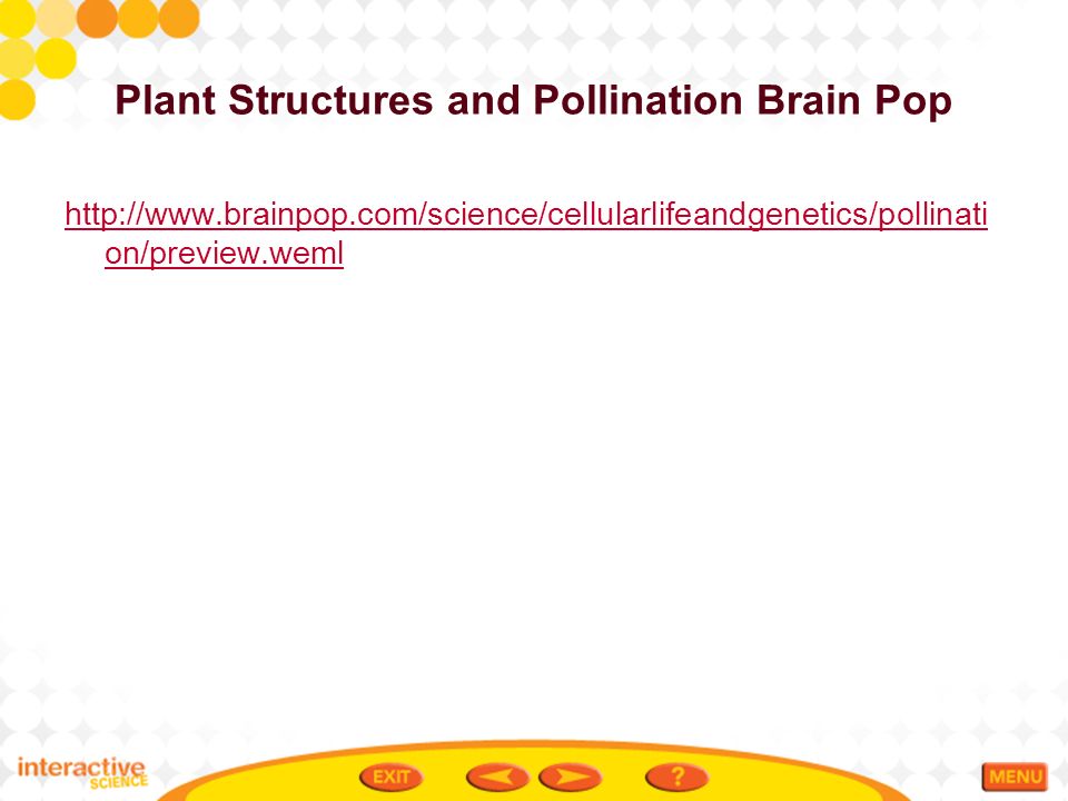 Plant Structures and Pollination Brain Pop