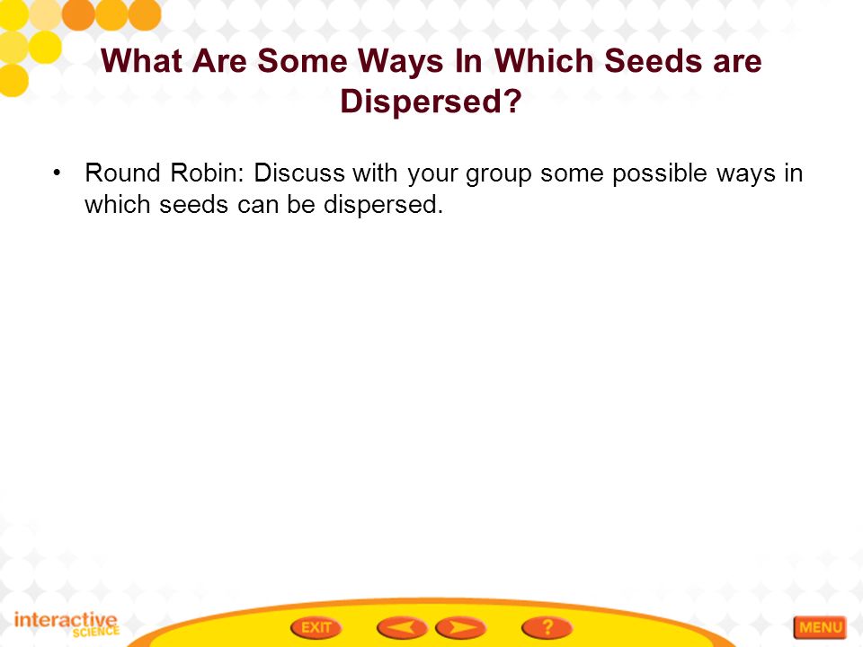 What Are Some Ways In Which Seeds are Dispersed