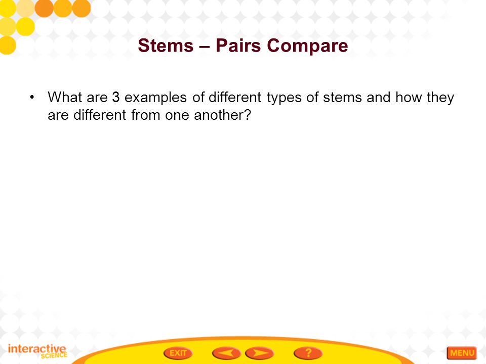 Stems – Pairs Compare What are 3 examples of different types of stems and how they are different from one another