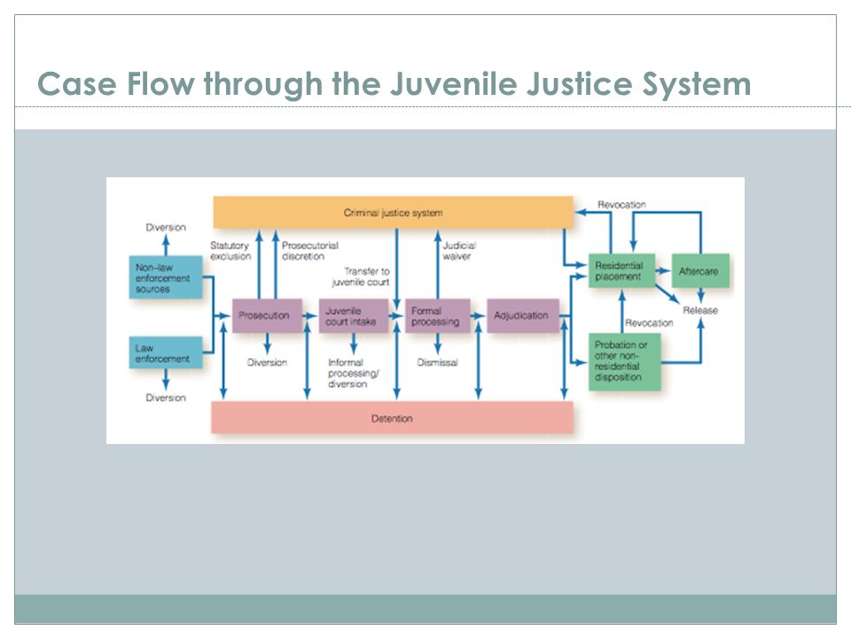 Case Flow through the Juvenile Justice System