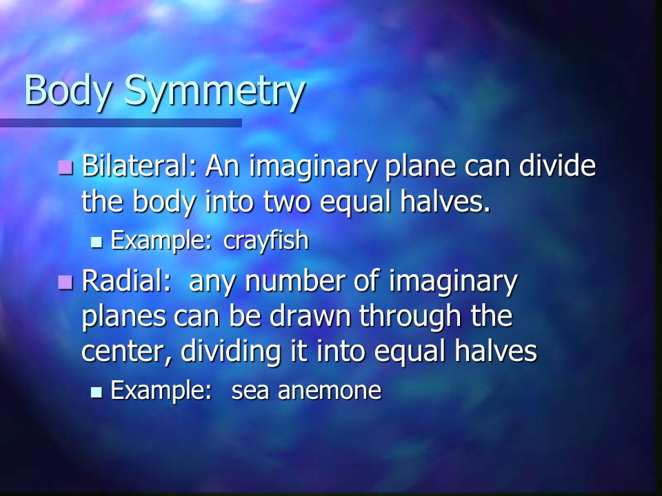 Body Symmetry Bilateral: An imaginary plane can divide the body into two equal halves. Example: crayfish.