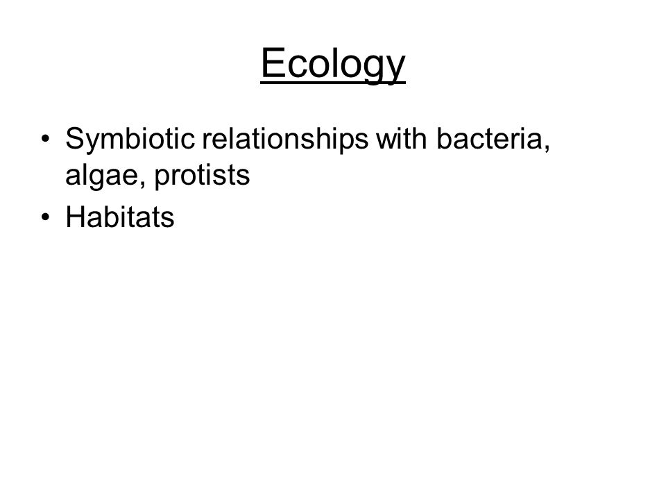 Ecology Symbiotic relationships with bacteria, algae, protists