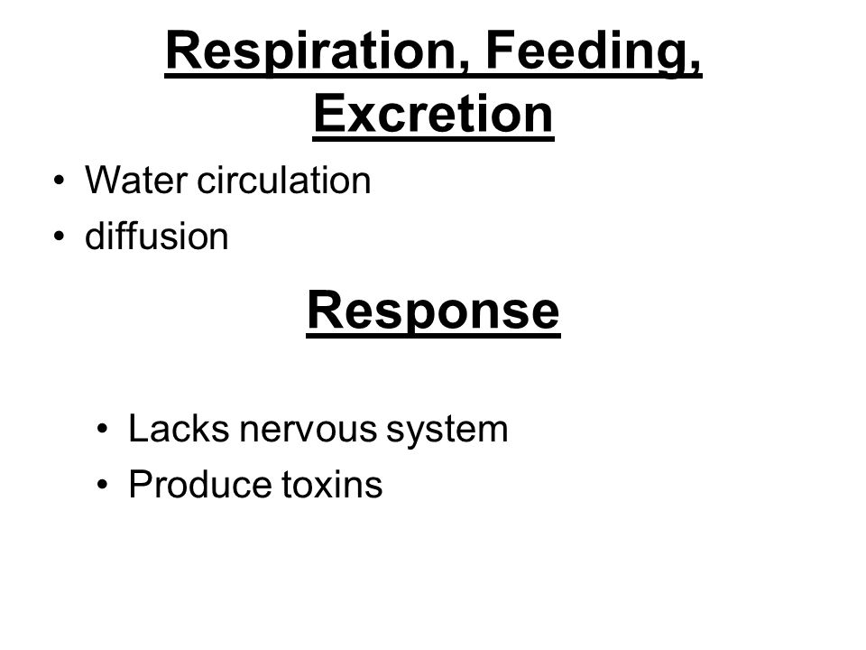 Respiration, Feeding, Excretion
