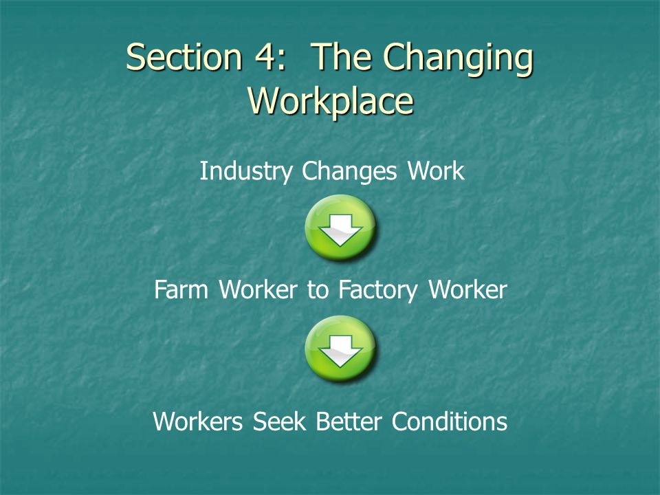 Section 4: The Changing Workplace