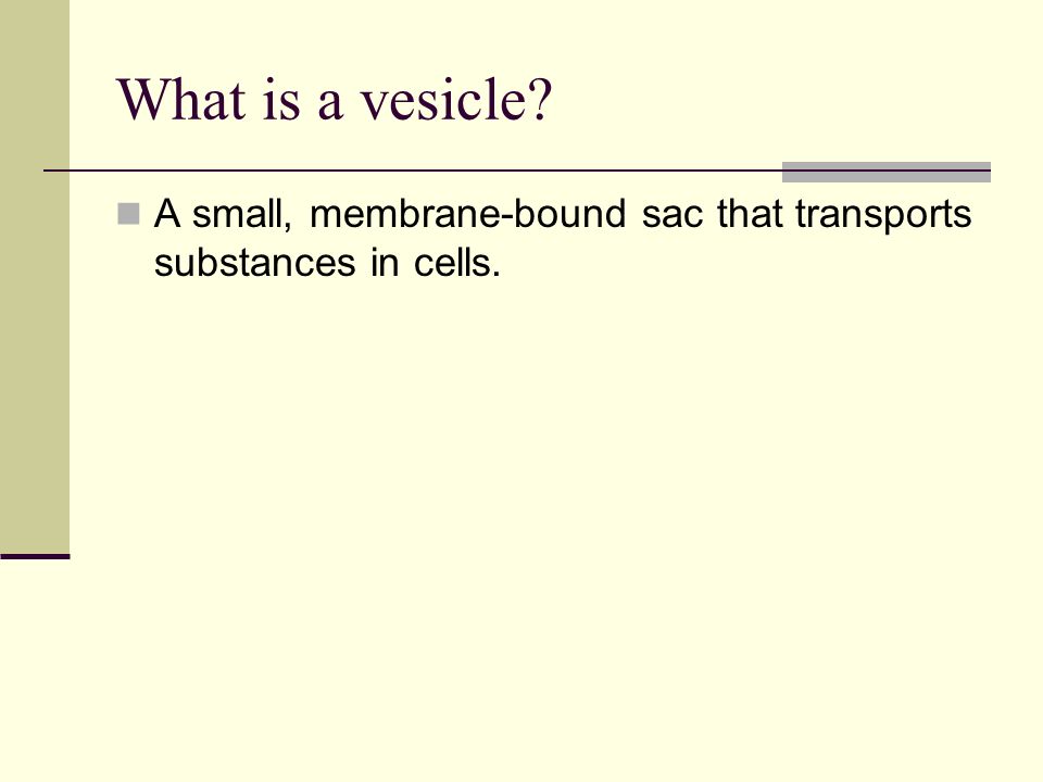 What is a vesicle A small, membrane-bound sac that transports substances in cells.