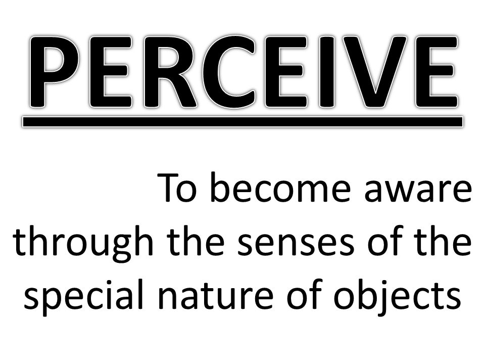 To become aware through the senses of the special nature of objects
