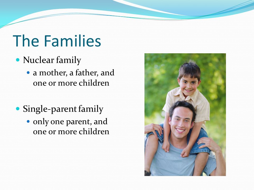 The Families Nuclear family Single-parent family