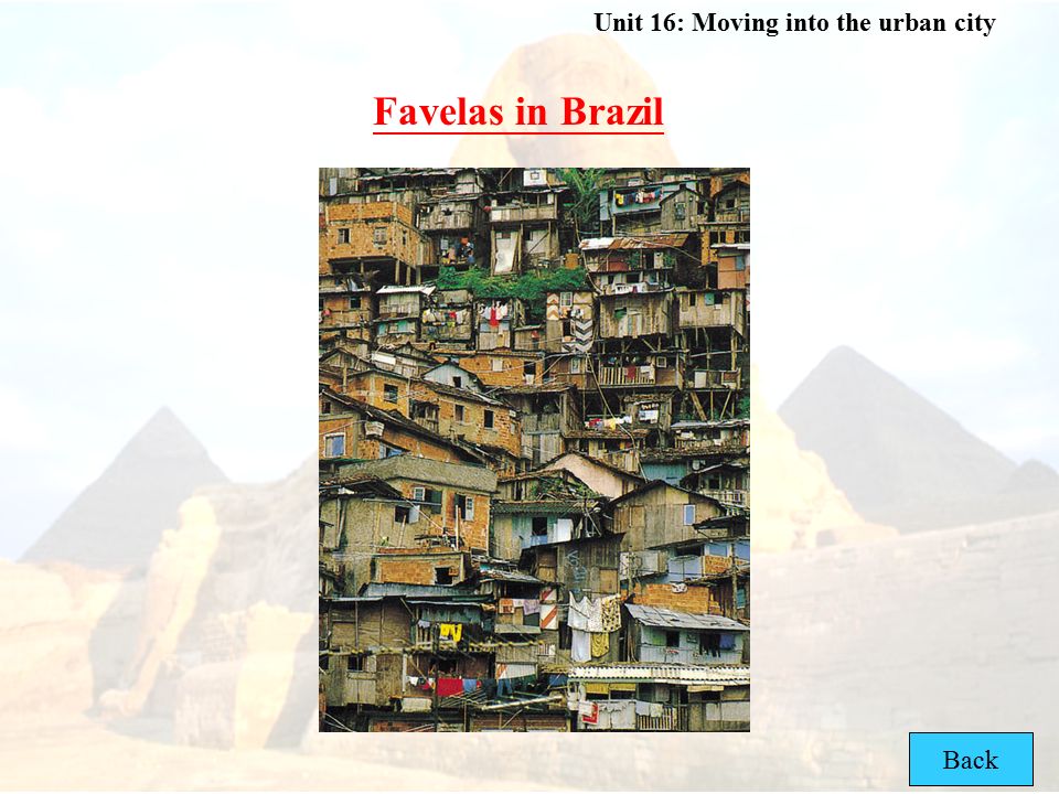 Favelas in Brazil Back