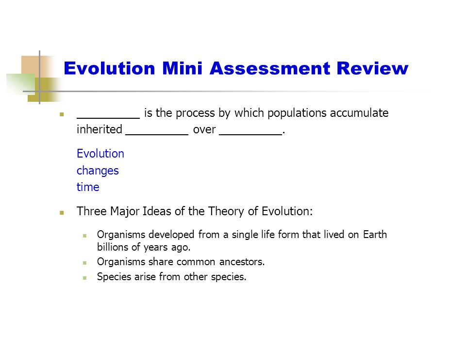 Evolution Mini Assessment Review