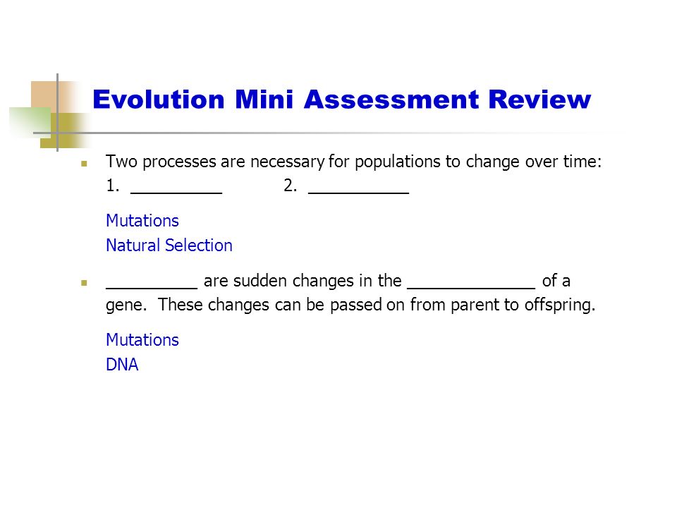 Evolution Mini Assessment Review