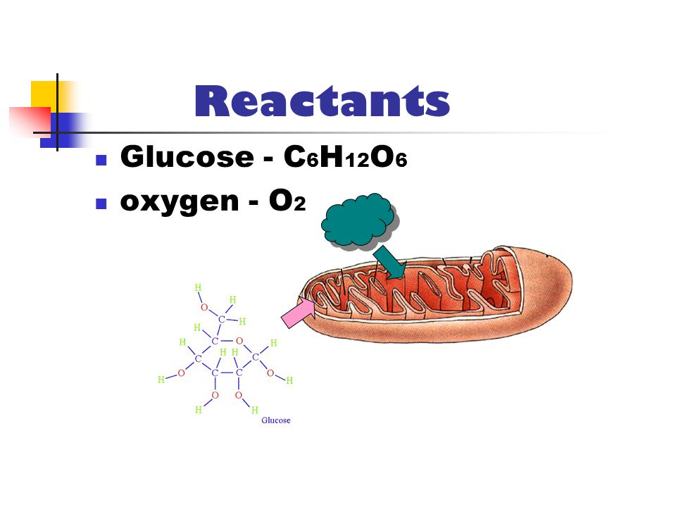 Reactants Glucose - C6H12O6 oxygen - O2