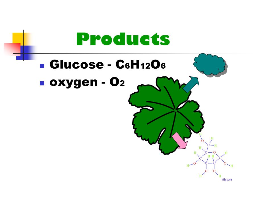 Products Glucose - C6H12O6 oxygen - O2