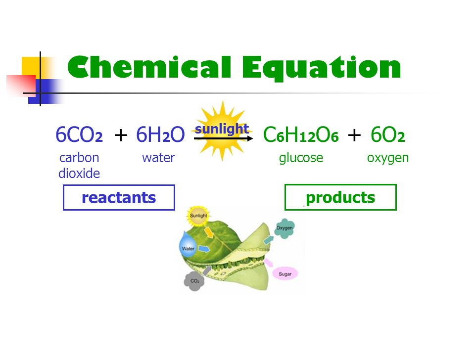Chemical Equation 6CO2 + 6H2O C6H12O6 + 6O2 reactants products